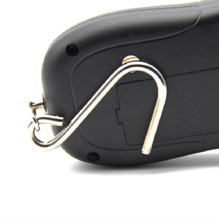 Portable Weighing Scale 50kg best